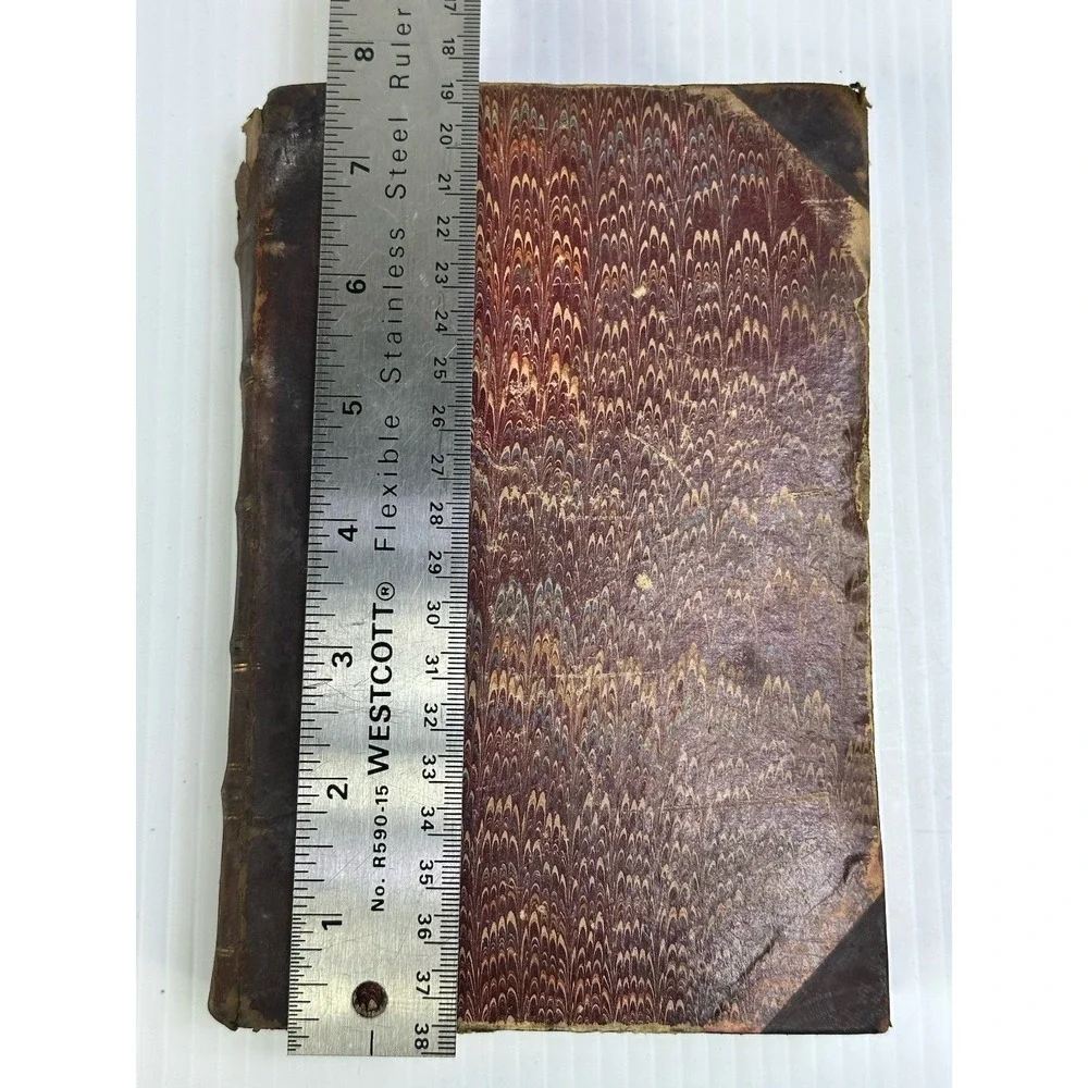 Antique The Mill on the Floss George Eliot Belford Clarke & Co Chicago & NY 1885